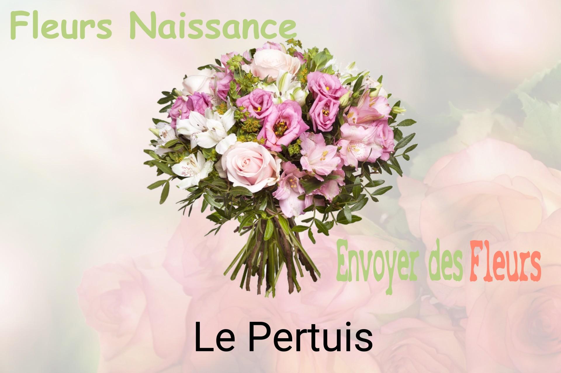 Bouquet de fleurs de naissance livré à Le Pertuis